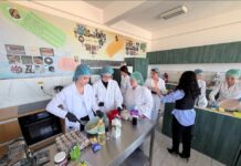Risipa alimentară începe acasă. Banca Regională pentru Alimente Cluj invită școli și companii din regiune să se înscrie la ateliere despre reducerea risipei alimentare